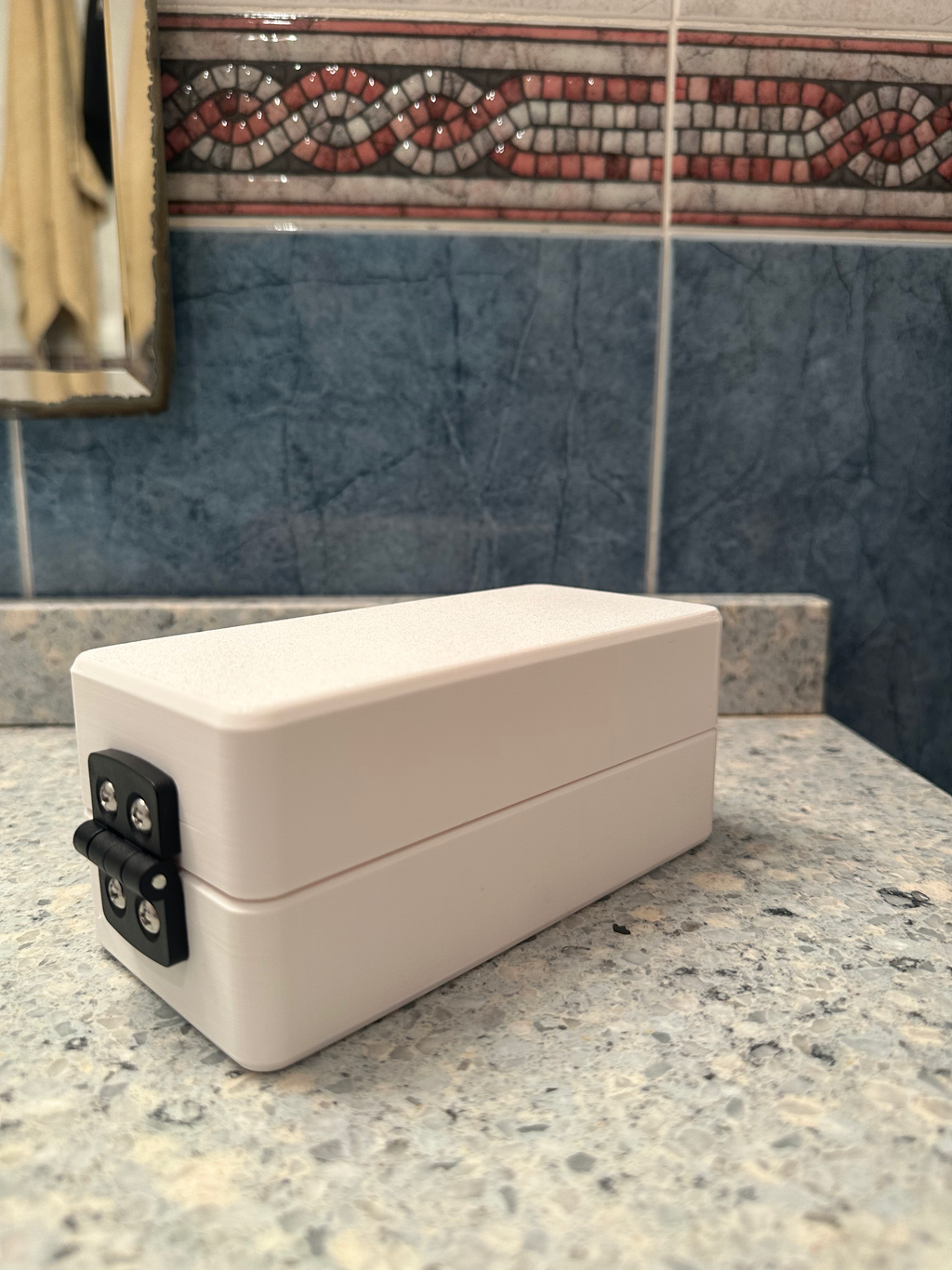 Travel Blister Container